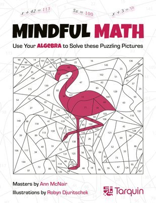 bokomslag Mindful Math 1