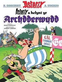 bokomslag Asterix a Helynt yr Archdderwydd