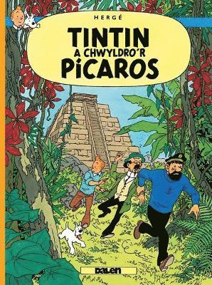 Herge - Tintin a Chwyldro'r Picaros, Häftad