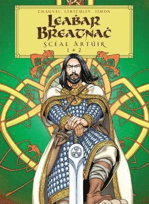 Leabhar Breatnach: Scal Artir 1