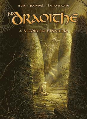 bokomslag Na Draoithe 2: Altoir Na Cinniuna