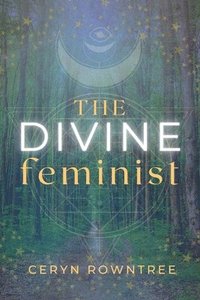 bokomslag Divine Feminist