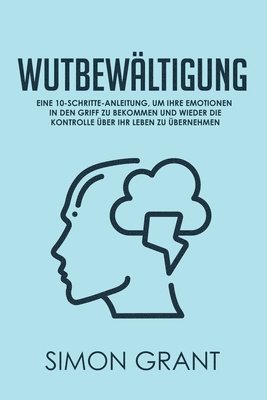 bokomslag Wutbewaltigung