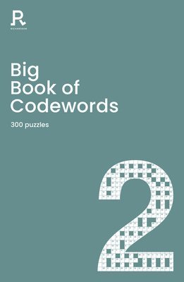 bokomslag Big Book of Codewords Book 2