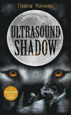 Ultrasound Shadow 1