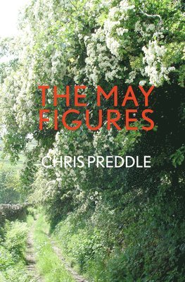Chris Preddle - May Figures, Häftad