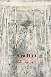 bokomslag Ghost Hunt