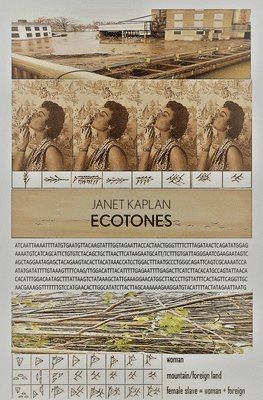 Ecotones 1