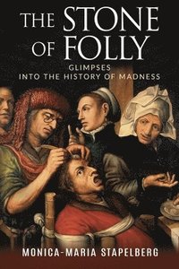 bokomslag The Stone of Folly: Glimpses into the History of Madness