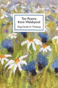 bokomslag Ten Poems from Welshpool