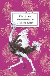 bokomslag Ostriches