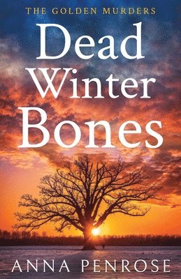 bokomslag Dead Winter Bones