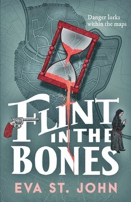 bokomslag Flint in the Bones