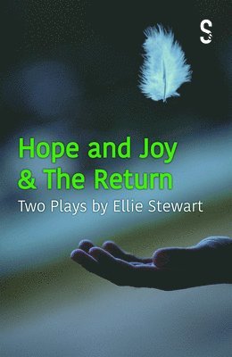 bokomslag Hope and Joy & The Return