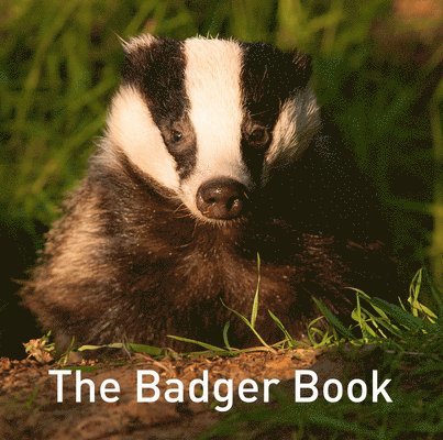 Nature Book Series: The Badger Book