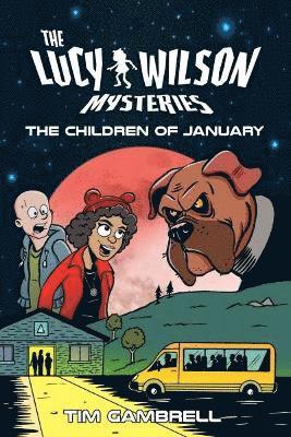 bokomslag Lucy Wilson Mysteries