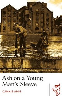 bokomslag Ash on a Young Man's Sleeve