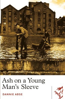 Dannie Abse - Ash on a Young Man's Sleeve, Häftad