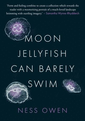 Moon Jellyfish Can Barely Swim 1