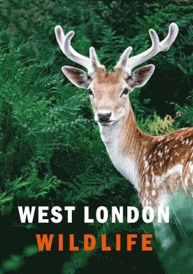 Ian Alexander, Susanne Masters - West London Wildlife, Inbunden