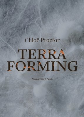 bokomslag Terra Forming