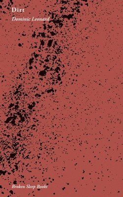 bokomslag Dirt