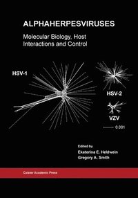 bokomslag Alphaherpesviruses