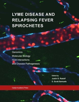 bokomslag Lyme Disease and Relapsing Fever Spirochetes