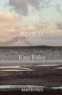 bokomslag Saved to Cloud