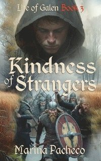 bokomslag Kindness of Strangers