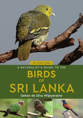 bokomslag Naturalist's Guide to the Birds of Sri Lanka (3rd edition)
