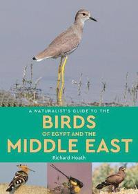 bokomslag A Naturalist's Guide to the Birds of Egypt and the Middle East
