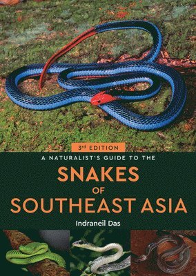 bokomslag Naturalist's Guide to the Snakes of Southeast Asia (3rd ed)