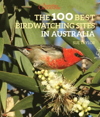 Sue Taylor - The 100 Best Birdwatching Sites in Australia, Häftad