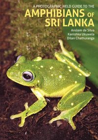 bokomslag A Photographic Field Guide to the Amphibians of Sri Lanka