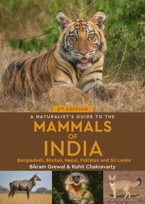 bokomslag Naturalist's Guide to the Mammals of India