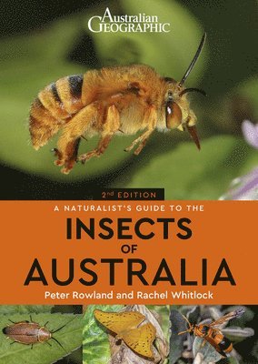Peter Rowland, Rachel Whitlock - Naturalist's Guide to the Insects of Australia, Häftad