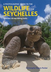 bokomslag A Photographic Guide to the Wildlife of Seychelles
