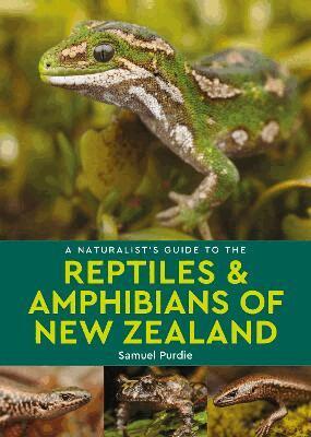 Samuel Purdie - Naturalist's Guide to the Reptiles & Amphibians Of New Zealand, Häftad