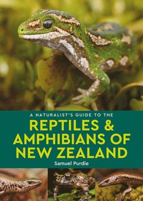 A Naturalist's Guide to the Reptiles & Amphibians Of New Zealand 1