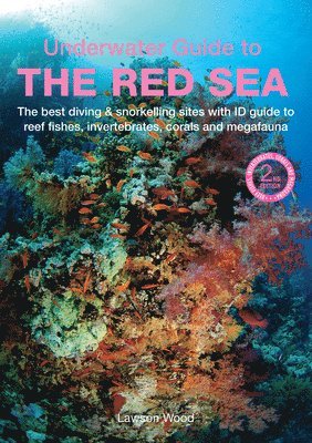 An Underwater Guide to the Red Sea (2nd) 1
