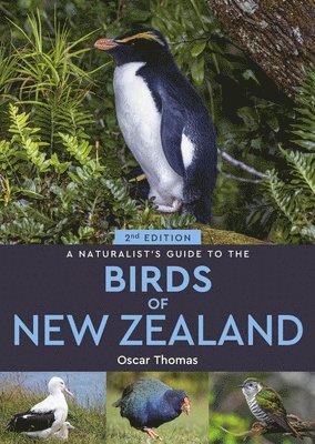 bokomslag A Naturalist's Guide to the Birds Of New Zealand