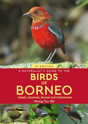 Wong Tsu Shi - Naturalist's Guide to the Birds of Borneo, Häftad