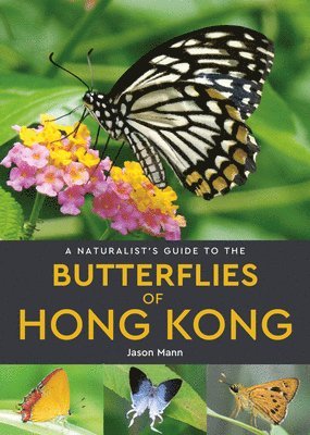 Jason Mann - Naturalist's Guide to the Butterflies of Hong Kong, Häftad