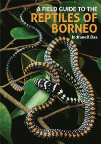 bokomslag Field Guide to the Reptiles of Borneo