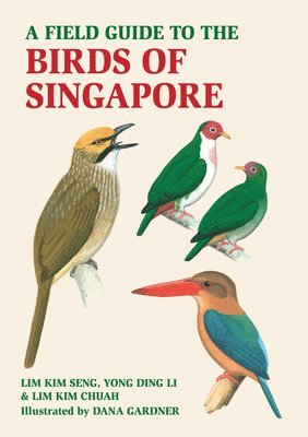 Lim Kim Seng, Lim Kim Chua, Yong Ding Li - Field Guide to the Birds of Singapore, Häftad