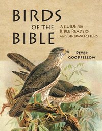bokomslag Birds of the Bible