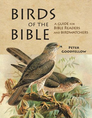 Peter Goodfellow - Birds of the Bible, Inbunden