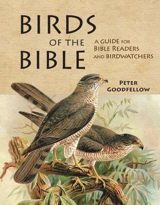 Birds of the Bible 1
