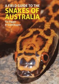 bokomslag A Field Guide to the Snakes of Australia